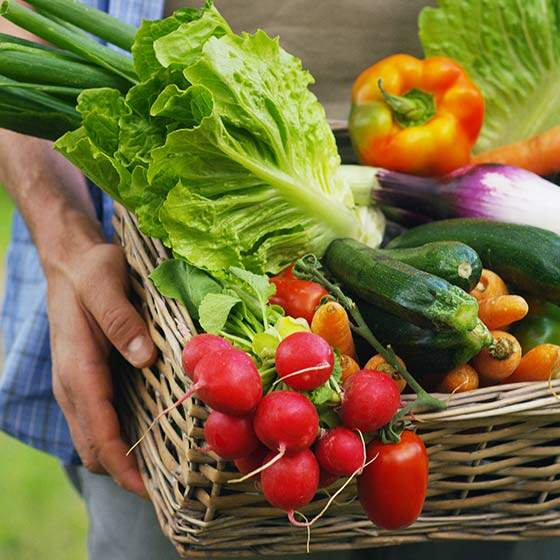 [EN] Homem segurando uma cesta com vegetais