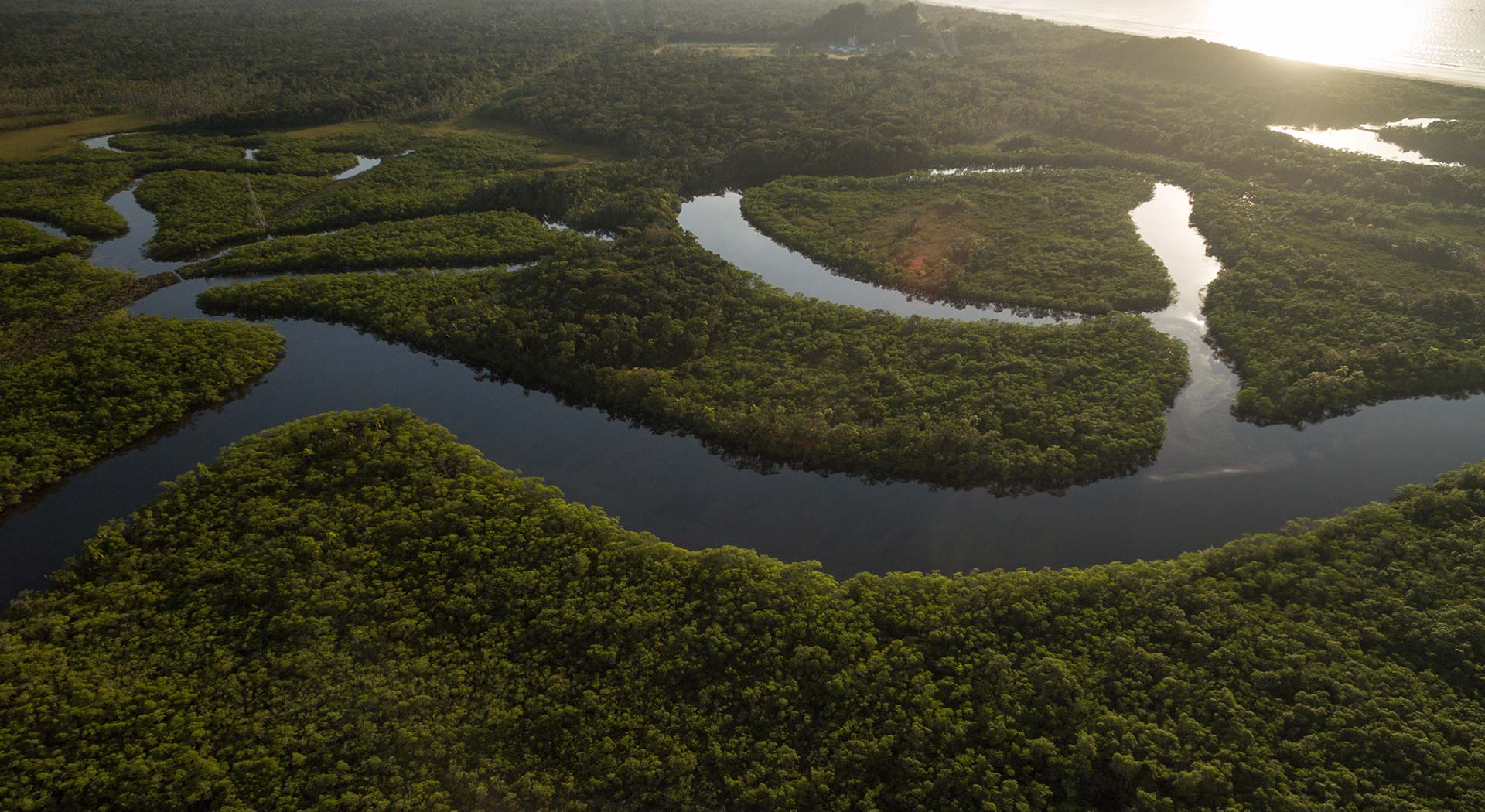 Imagem de uma floresta, com um lago entre as árvores.