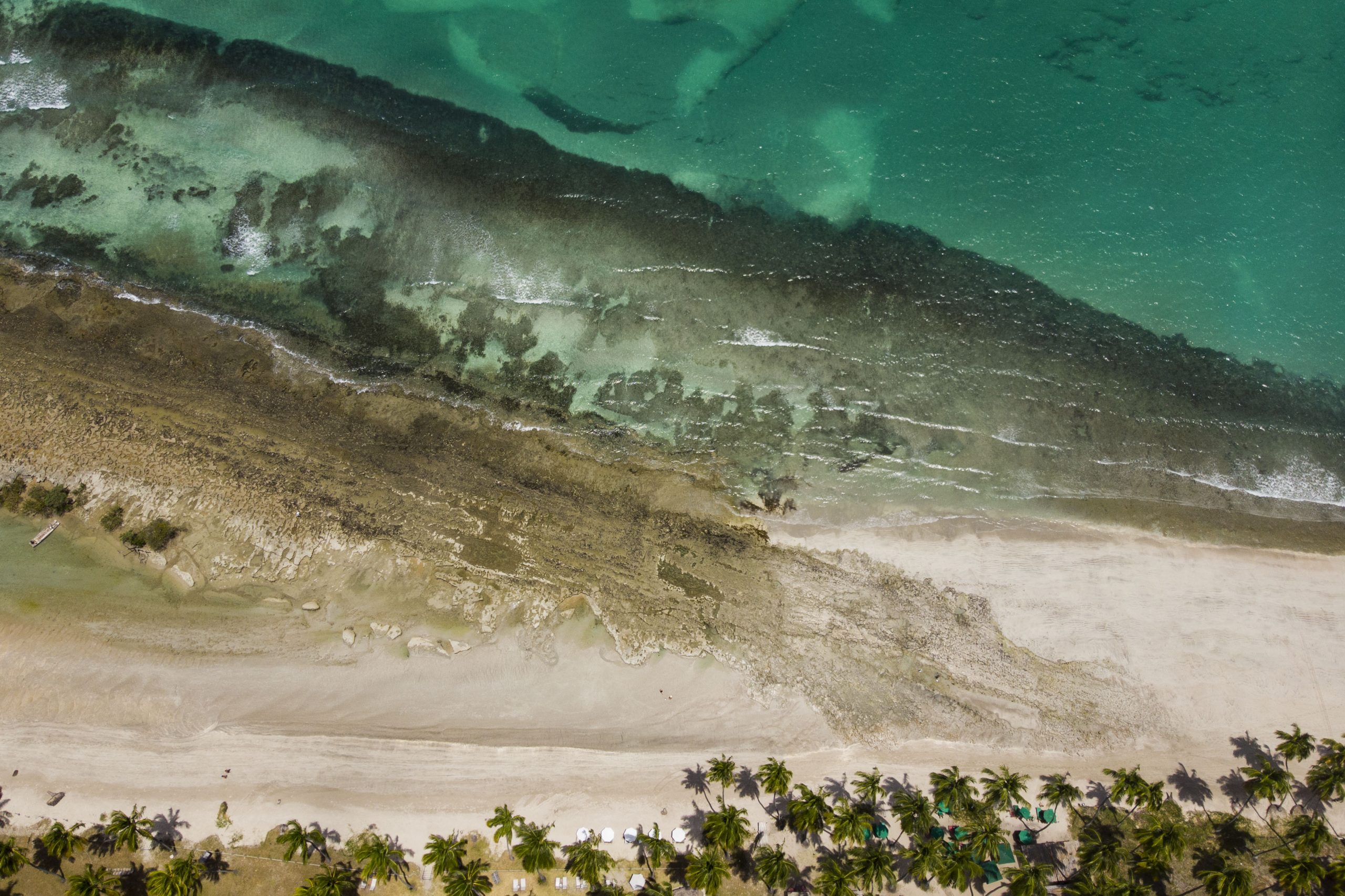 Imagens gerais no mangue e na costa de corais da foz do Rio Formoso, na praia de Carneiros em Tamandaré, PE